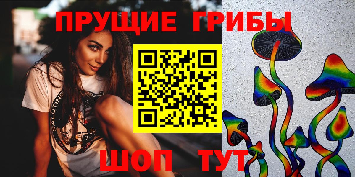 Елабуга  Галлюциногенные грибы Magic Shrooms  где можно купить наркотик  Галлюциногенные грибы MAGIC MUSHROOMS  Вход с VPN 