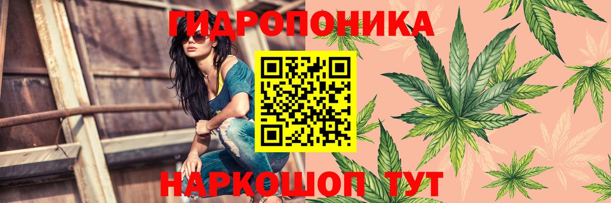 Канабис гибрид Елабуга